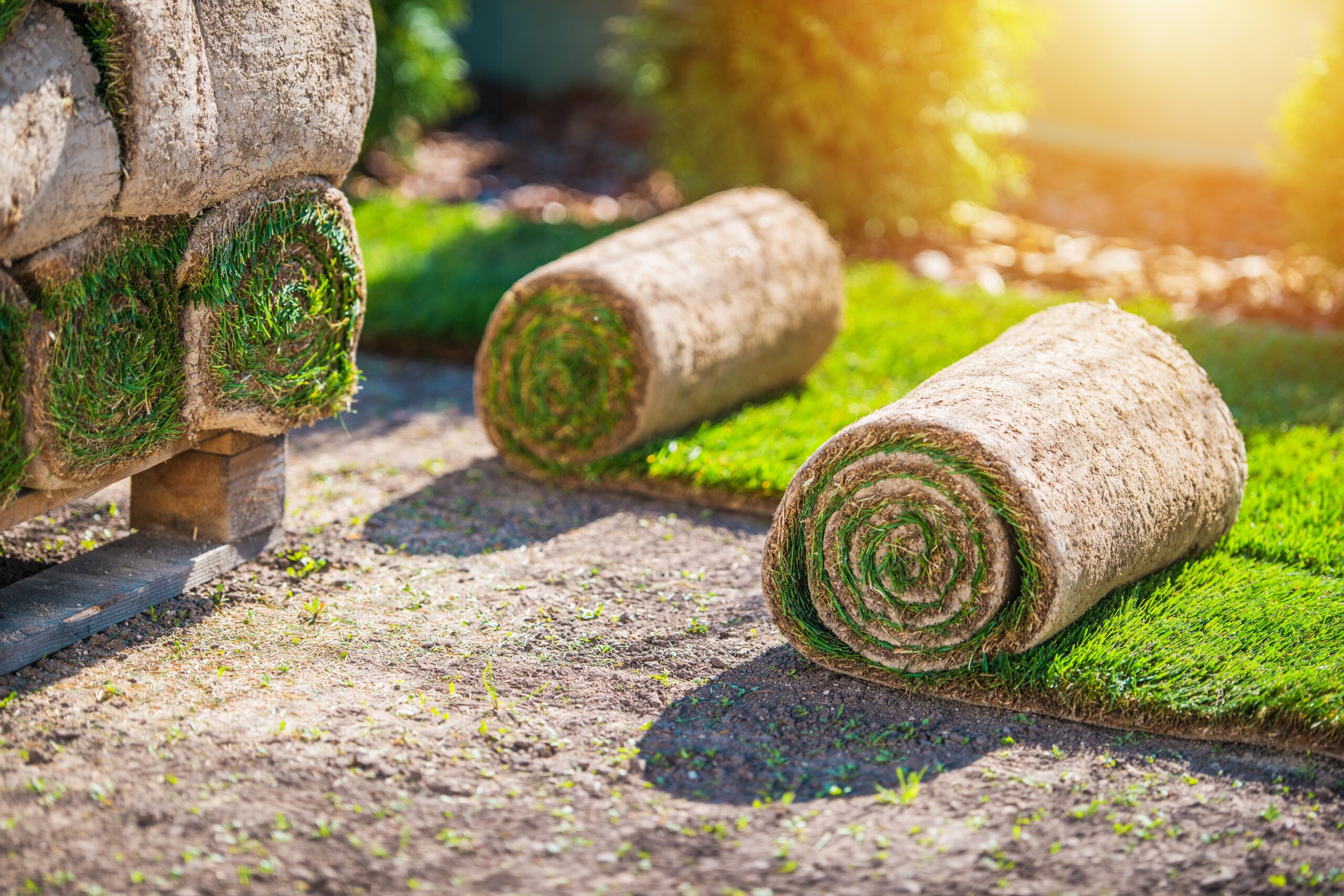 Sod Installation