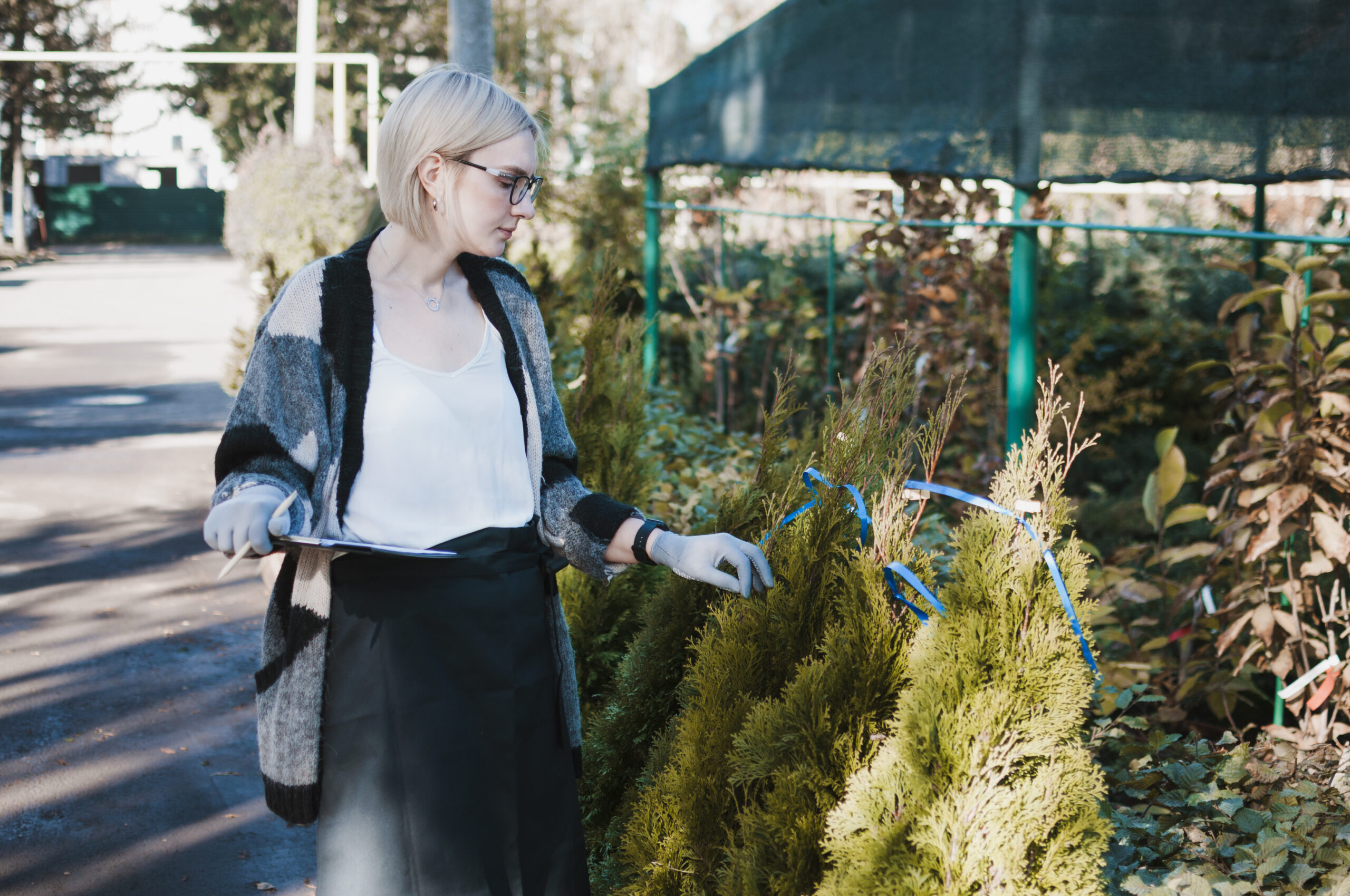 Bush & Shrub Maintenance