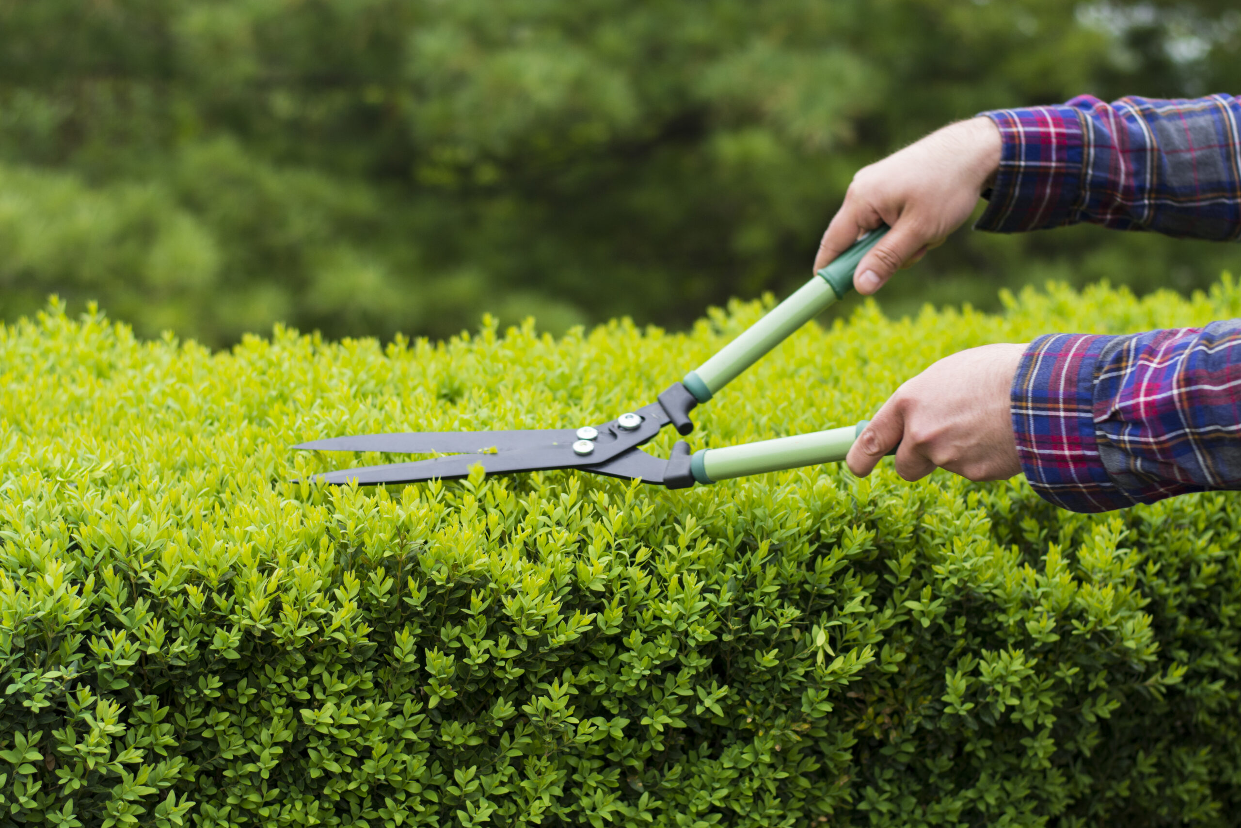 Edging & Trimming