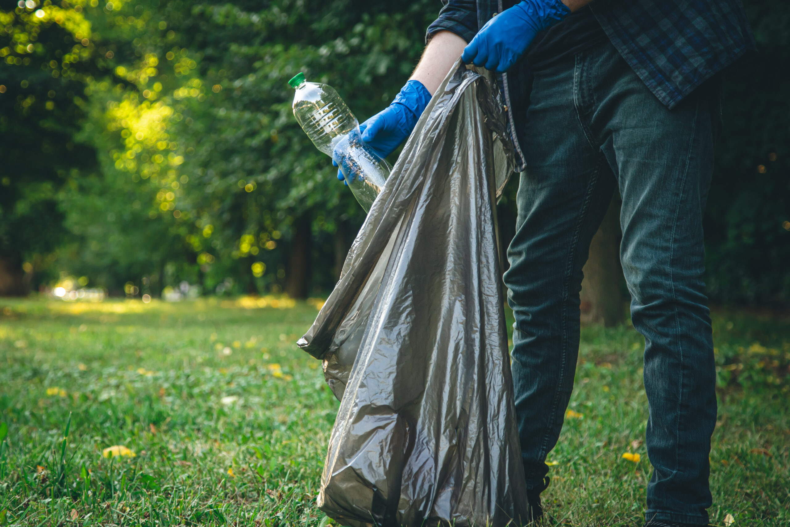 Yard Waste Removal